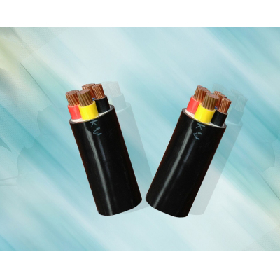 Cáp điện lực hạ thế CVV